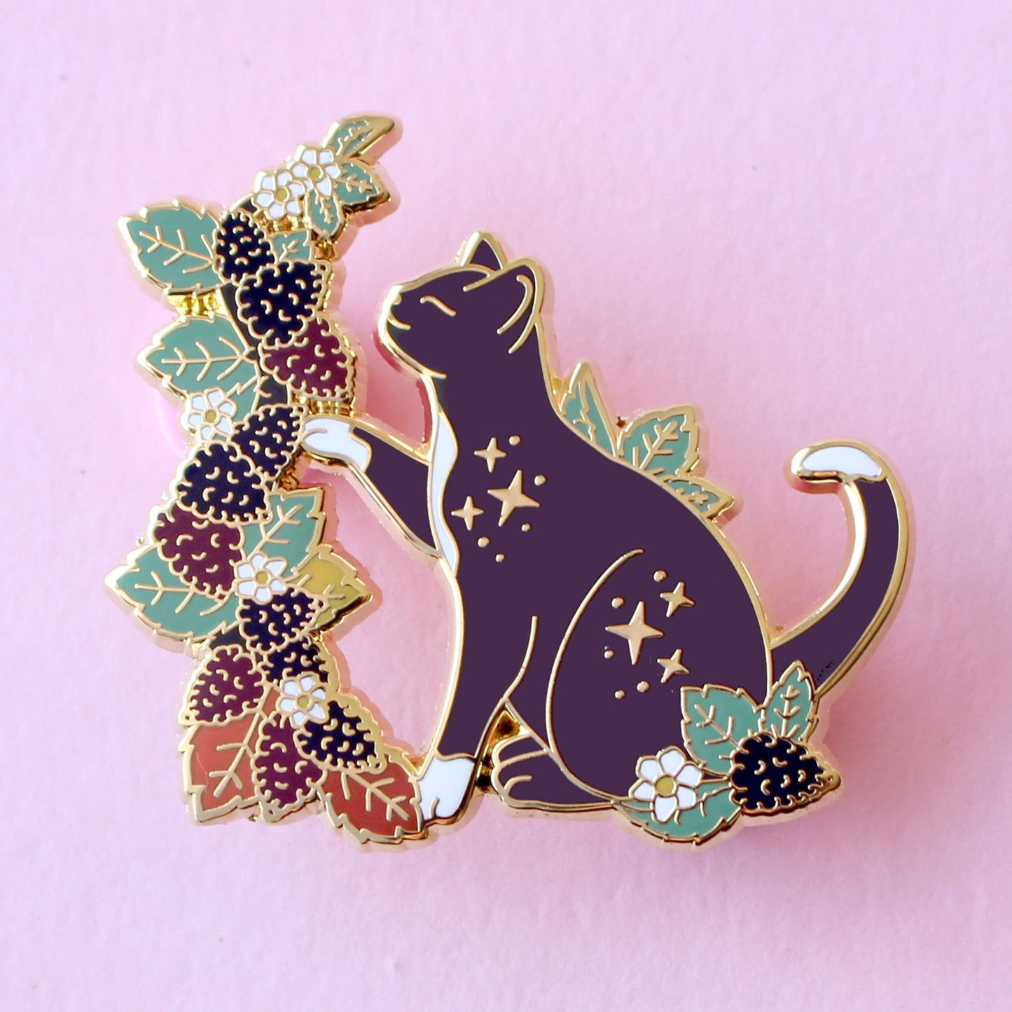 Fall Blackberry cat
