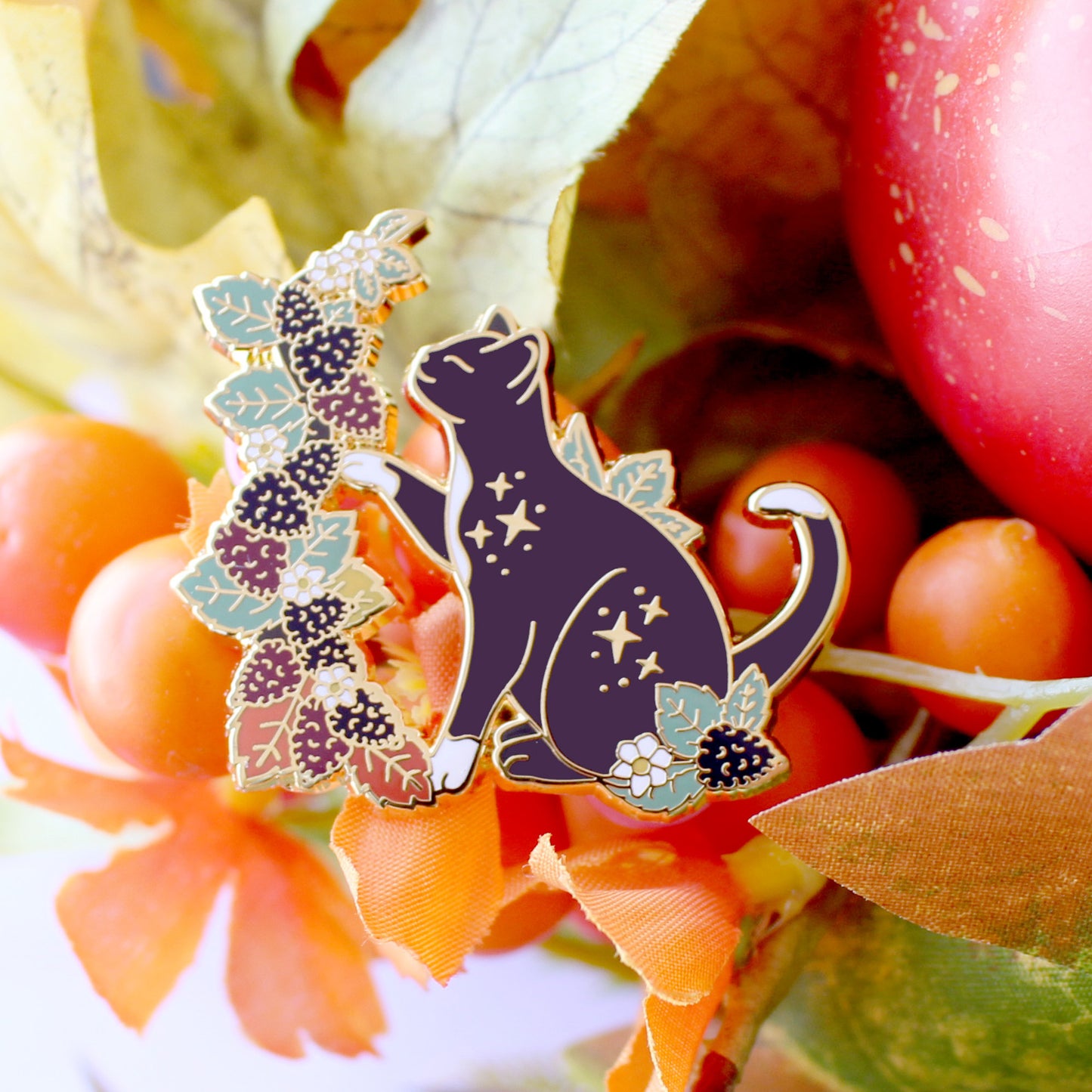 Fall Blackberry cat