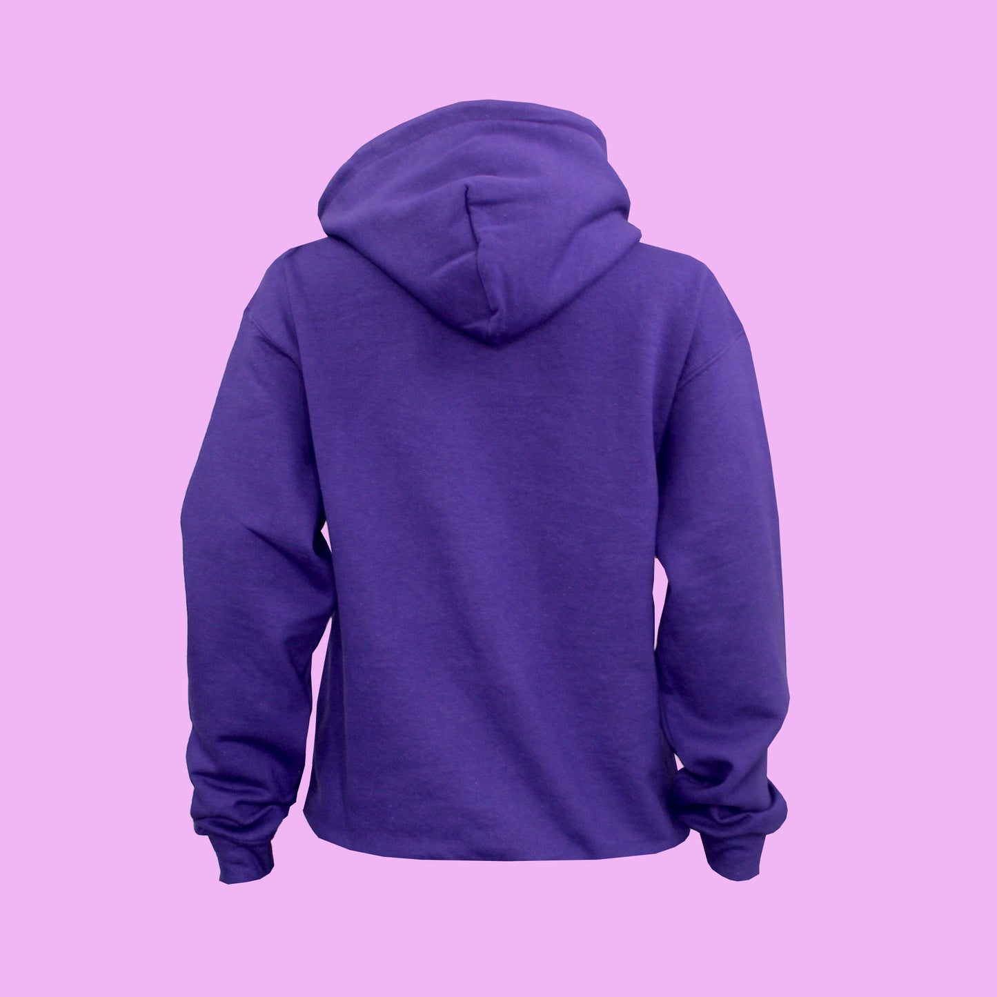 Cosmic Cat Embroidered Pullover Hoodie